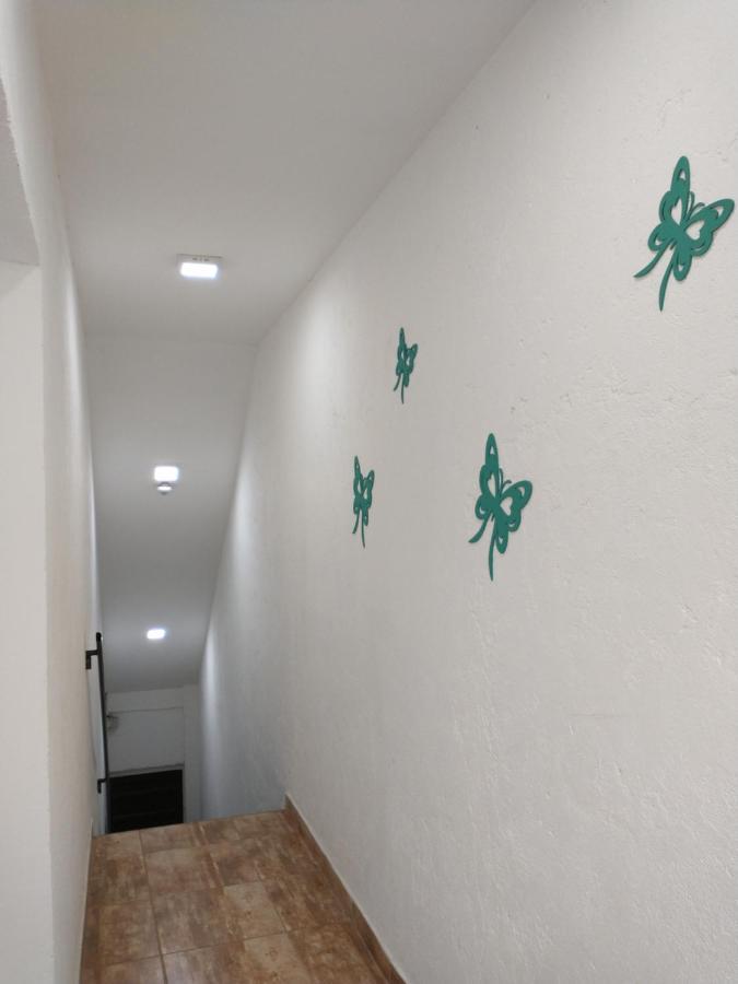 TunuyánDepartamentos Pachamama公寓 外观 照片